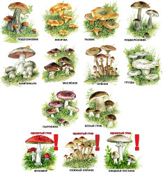 Развивающие карточки. Комплект № 3 из 5 наборов- фото2