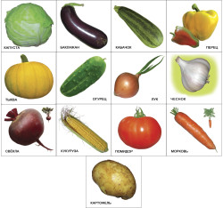 Развивающие карточки. Комплект № 3 из 5 наборов- фото3