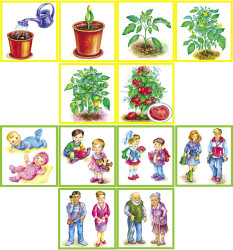 Развивающие карточки. Комплект № 4 из 5 наборов- фото5