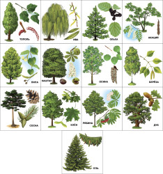 Развивающие карточки. Комплект № 3 из 5 наборов- фото4