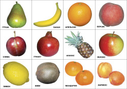 Развивающие карточки. Комплект № 3 из 5 наборов- фото5